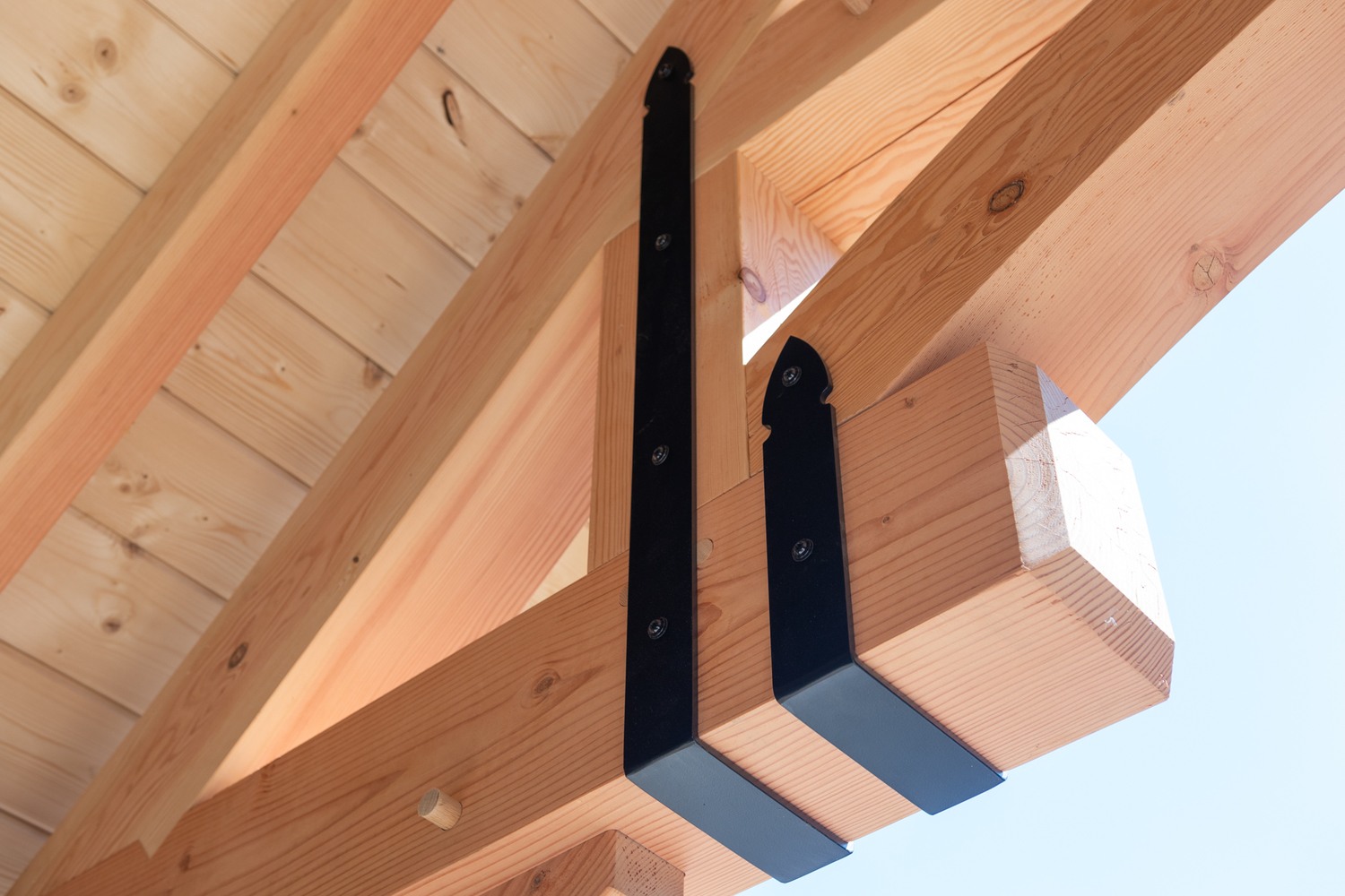 16x18 grand teton-14